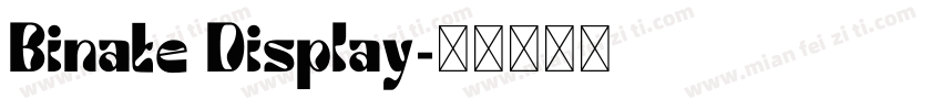 Binate Display字体转换